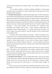 Interesų grupės Lietuvos politinėje sistemoje 5 puslapis