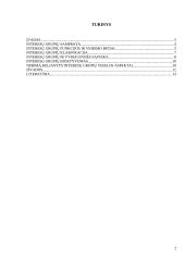 Interesų grupių vaidmens politikos procese nagrinėjimas 2 puslapis