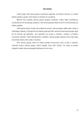 Interesų grupių vaidmens politikos procese nagrinėjimas 12 puslapis