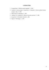 Interesų grupių vaidmens politikos procese nagrinėjimas 13 puslapis