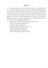 Interesų grupių vaidmens politikos procese nagrinėjimas 3 puslapis