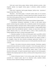 Interesų grupių vaidmens politikos procese nagrinėjimas 8 puslapis
