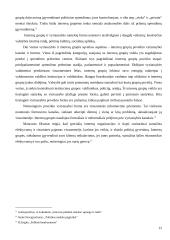 Interesų grupių reikšmė ir įtaka visuomeniniam gyvenimui 12 puslapis