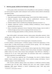 Interesų grupių reikšmė ir įtaka visuomeniniam gyvenimui 13 puslapis