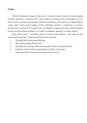 Interesų grupių reikšmė ir įtaka visuomeniniam gyvenimui 3 puslapis