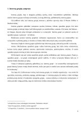 Interesų grupių reikšmė ir įtaka visuomeniniam gyvenimui 4 puslapis