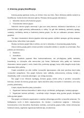 Interesų grupių reikšmė ir įtaka visuomeniniam gyvenimui 5 puslapis