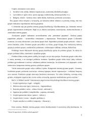 Interesų grupių reikšmė ir įtaka visuomeniniam gyvenimui 6 puslapis