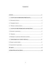 Internacionaliniai strateginiai aljansai: licencijos 2 puslapis