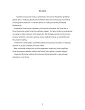 Internacionaliniai strateginiai aljansai: licencijos 11 puslapis