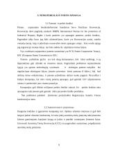 Internacionaliniai strateginiai aljansai: licencijos 9 puslapis