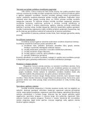 Invalidumo prevencija ir invalidų reabilitacija 2 puslapis