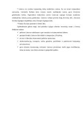 Investavimo proceso struktūra ir ypatumai Lietuvoje 10 puslapis