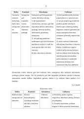 Investavimo rizika ir jos valdymas 10 puslapis