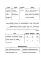 Investavimo rizika ir jos valdymas 11 puslapis