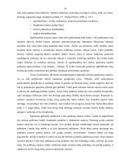 Investavimo rizika ir jos valdymas 13 puslapis