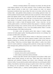 Investavimo rizika ir jos valdymas 14 puslapis