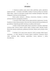 Investavimo rizika ir jos valdymas 17 puslapis