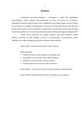 Investavimo rizika ir jos valdymas 2 puslapis