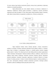 Investavimo rizika ir jos valdymas 4 puslapis