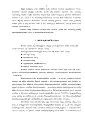 Investavimo rizika ir jos valdymas 5 puslapis