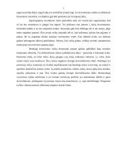 Investavimo rizika ir jos valdymas 6 puslapis