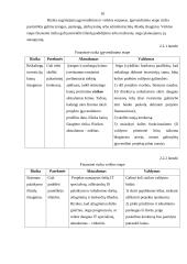 Investavimo rizika ir jos valdymas 9 puslapis