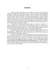 Investicijos sektoriuose 11 puslapis