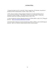 Investicijos sektoriuose 12 puslapis