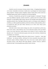 Investicijos į žmogiškąjį kapitalą 11 puslapis