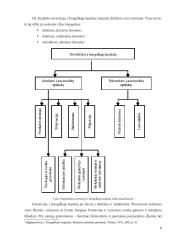 Investicijos į žmogiškąjį kapitalą 5 puslapis