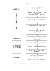 Investicijos ir jų valdymas 10 puslapis