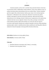 Investicijos ir verslas Vilniuje 2 puslapis