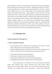 Investicijų finansavimo šaltiniai 9 puslapis