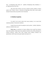 Investicijų finansavimo šaltiniai 17 puslapis