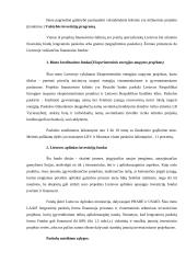 Investicijų finansavimo šaltiniai 7 puslapis