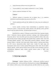 Investicijų finansavimo šaltiniai 8 puslapis