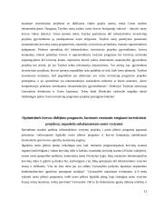 Investicijų į Klaipėdos valstybinį  jūrų uostą vertinimas 12 puslapis