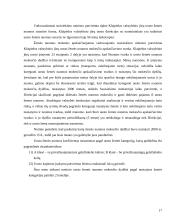 Investicijų į Klaipėdos valstybinį  jūrų uostą vertinimas 17 puslapis