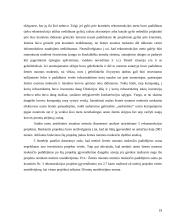 Investicijų į Klaipėdos valstybinį  jūrų uostą vertinimas 19 puslapis