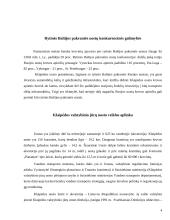 Investicijų į Klaipėdos valstybinį  jūrų uostą vertinimas 4 puslapis