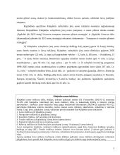 Investicijų į Klaipėdos valstybinį  jūrų uostą vertinimas 5 puslapis