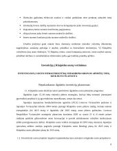 Investicijų į Klaipėdos valstybinį  jūrų uostą vertinimas 8 puslapis
