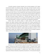 Investicijų į Klaipėdos valstybinį  jūrų uostą vertinimas 9 puslapis