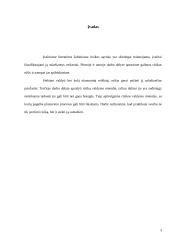 Investicinė rizika ir jos vertinimas 2 puslapis