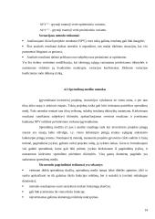 Investicinė rizika ir jos vertinimas 13 puslapis