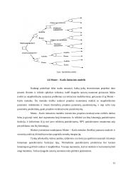 Investicinė rizika ir jos vertinimas 14 puslapis