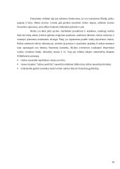 Investicinė rizika ir jos vertinimas 17 puslapis