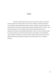 Investicinė rizika ir jos vertinimas 18 puslapis