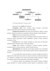 Investicinė rizika ir jos vertinimas 4 puslapis